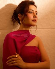 Rowdy and Co Actress Raashi Khanna in a Two Piece One Shoulder Buttoned Down Top with a Matching Skirt Photos 06