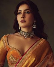 Rowdy and Co Heroine Raashi Khanna in a Gold Kanchipuram Tissue Saree with a Mustard Orange Silk Blouse Pictures 01