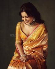 Rowdy and Co Heroine Raashi Khanna in a Gold Kanchipuram Tissue Saree with a Mustard Orange Silk Blouse Pictures 03