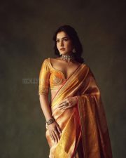 Rowdy and Co Heroine Raashi Khanna in a Gold Kanchipuram Tissue Saree with a Mustard Orange Silk Blouse Pictures 04