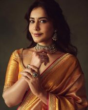 Rowdy and Co Heroine Raashi Khanna in a Gold Kanchipuram Tissue Saree with a Mustard Orange Silk Blouse Pictures 07