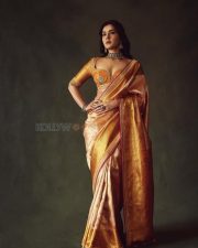Rowdy and Co Heroine Raashi Khanna in a Gold Kanchipuram Tissue Saree with a Mustard Orange Silk Blouse Pictures 08