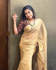 Sakshi Agarwal in a Earthy Saree Photos 01