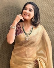 Sakshi Agarwal in a Earthy Saree Photos 02