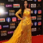 Saniya Iyappan at SIIMA Awards 2021 Day 2 Photos 02 Saniya Iyappan at SIIMA Awards 2021 Day 2 Photos 02