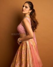 Sardar 2 Heroine Malavika Mohanan in a Vibrant Pink and Gold Lehenga with a Sleeveless Blouse Photos 03