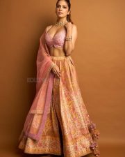 Sardar 2 Heroine Malavika Mohanan in a Vibrant Pink and Gold Lehenga with a Sleeveless Blouse Photos 04