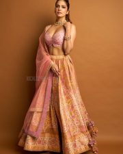 Sardar 2 Heroine Malavika Mohanan in a Vibrant Pink and Gold Lehenga with a Sleeveless Blouse Photos 04