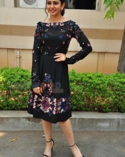 Sarrainodu Movie Heroine Rakul Preet Singh Photos