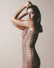 Sensual Ananya Panday in a Metallic Rose Bodycon Gown Photos 06