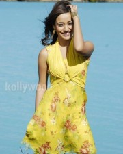 Neha Sharma 40 Sexy Actress Neha Sharma Hot Photos