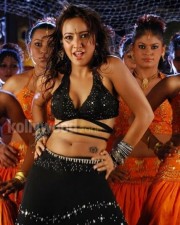 Neha Sharma 39 Sexy Actress Neha Sharma Hot Photos