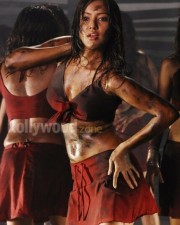 Neha Sharma 31 Sexy Actress Neha Sharma Hot Photos
