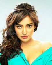 Neha Sharma 4 Sexy Actress Neha Sharma Pictures