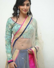 Sexy Actress Pooja Hegde Pictures