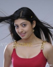 Sexy Actress Praneetha Stills