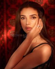 Sexy Aditi Rao Hydari in a Black Bustier Gown Photos 02