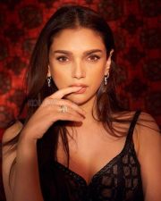 Sexy Aditi Rao Hydari in a Black Bustier Gown Photos 04