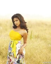 Sexy Amala Paul