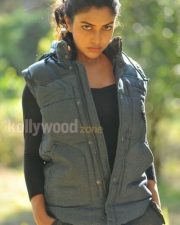 Sexy Amala Paul Latest Pictures