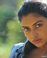 Sexy Amala Paul Latest Pictures