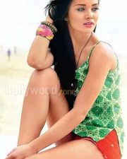 Sexy Amy Jackson Photos