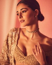 Sexy Ananya Panday in a Revealing Sleeveless Saree Photos 02