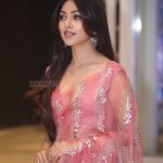 Sexy Anu Emmanuel at Maha Samudram Movie Pre Release Event Pictures 05 Sexy Anu Emmanuel at Maha Samudram Movie Pre Release Event Pictures 05