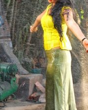 Sexy Beauty Anushka Shetty Pictures