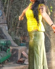 Sexy Beauty Anushka Shetty Pictures