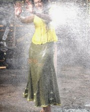 Sexy Beauty Anushka Shetty Pictures