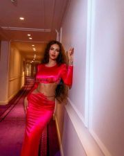 Sexy Esha Gupta in a Red Gown Pictures 03