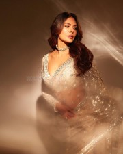 Sexy Golden Girl Esha Gupta in Saree Photos 05