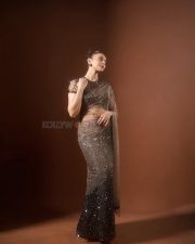 Sexy Indian Actress Rakul Preet Singh in a Mocha Brown and Black Sequin Saree with Sheer Blouse Photos 05