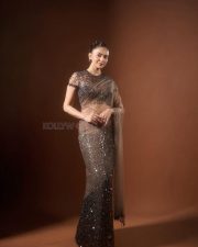 Sexy Indian Actress Rakul Preet Singh in a Mocha Brown and Black Sequin Saree with Sheer Blouse Photos 07 Sexy Indian Actress Rakul Preet Singh in a Mocha Brown and Black Sequin Saree with Sheer Blouse Photos 07