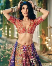 Sexy Jacqueline Fernandez showing navel in a Traditional Lehenga Photoshoot Stills 05