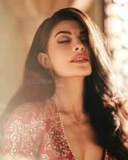 Sexy Jacqueline Fernandez showing navel in a Traditional Lehenga Photoshoot Stills 06 Sexy Jacqueline Fernandez showing navel in a Traditional Lehenga Photoshoot Stills 06