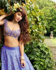 Sexy Jacqueline Fernendez in a Violet Traditional Dress Photo 01