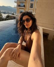 Sexy Karishma Tanna in a Brown Poolside Bikini Photos 02