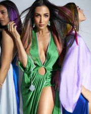 Sexy Malaika Arora in a Wendell Rodricks Tribute Photoshoot Stills 02