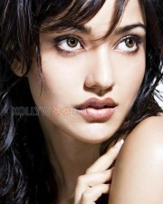 Neha Sharma 35 Sexy Neha Sharma Photoshoot Pictures