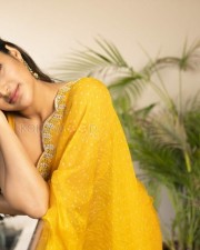 Sexy Nidhhi Agerwal Yellow Saree Photoshoot Stills