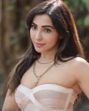 Sexy Parvati Nair at Alambana Press Meet Photos 38