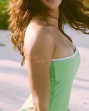 Sexy Pooja Hegde in a Lime Green Swimsuit Photo 01 Sexy Pooja Hegde in a Lime Green Swimsuit Photo 01