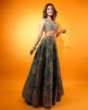 Sexy Pooja Hegde in a Mudra Green Lehenga with Organza Dupatta with Resham and Zardozi Embroidery Plunging Scalloped Neckline Photos 04 Sexy Pooja Hegde in a Mudra Green Lehenga with Organza Dupatta with Resham and Zardozi Embroidery Plunging Scalloped Neckline Photos 04