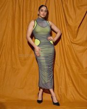 Sexy Regina Cassandra in a V Neck Calf Length Neon Mesh Dress Pictures 03