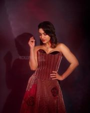 Sexy Saniya Iyappan in a Red Corset Floor Length Gown Pictures 01