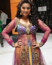 Sexy Sneha Hot Navel Pictures
