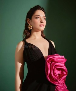 Sexy Tamanna Bhatia in a Plunging Black Dress Photos 02