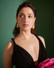 Sexy Tamanna in a Deep Cut Black Rose Dress Photos 04